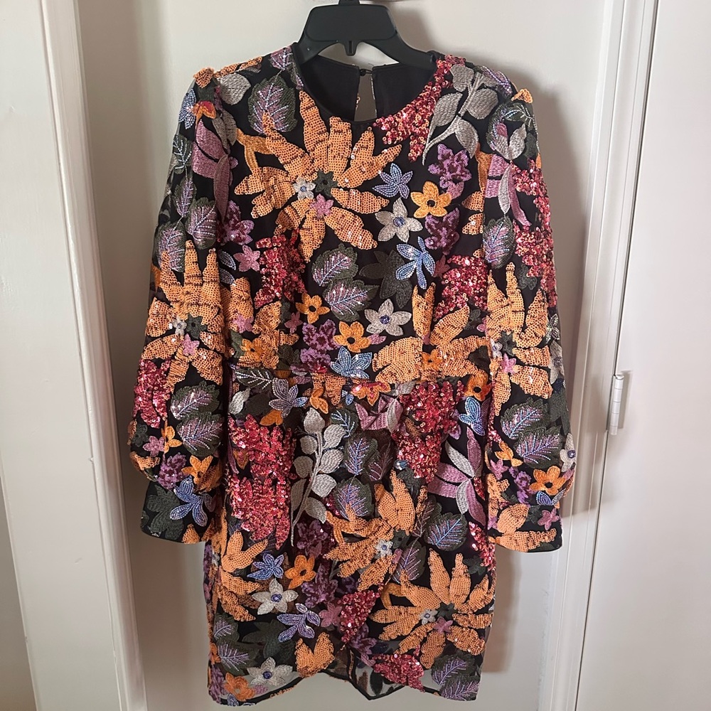 Embroidered Floral Black Long Sleeve Mini Dress